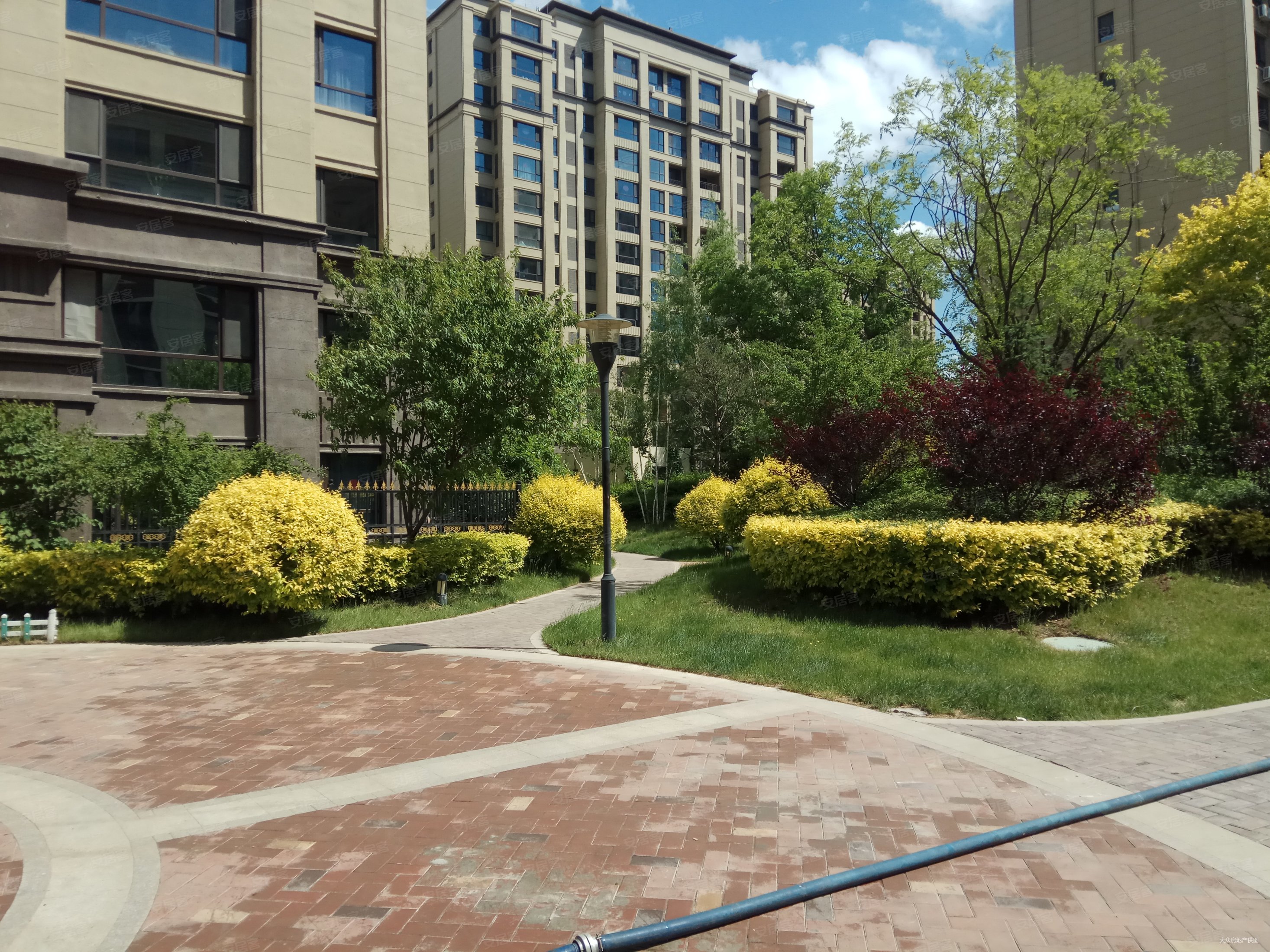 绿地香树花城一期精装电梯洋房好楼层带家具家电有车位2年外可贷