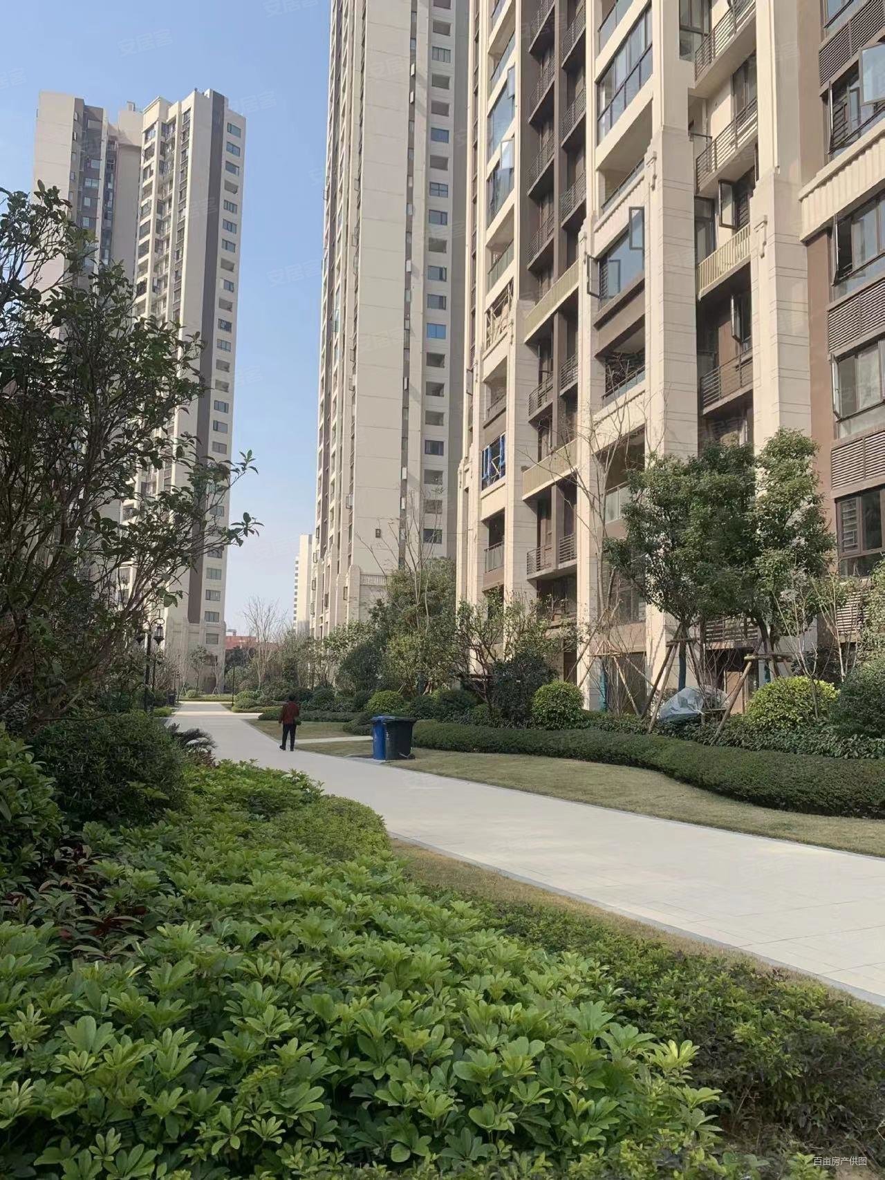 高新区河东a房红星天铂电梯毛坯4房单价8字头