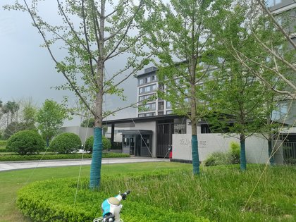 西江悦优点,不足,西江悦怎么样,西江悦周边房产中介经纪人评价-义乌