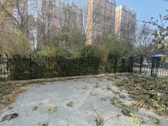 菏泽牡丹牡丹园碧桂园鲁商港湾牡丹新城一二楼复式带院！空房，适合办公直播创业出租房源真实图片