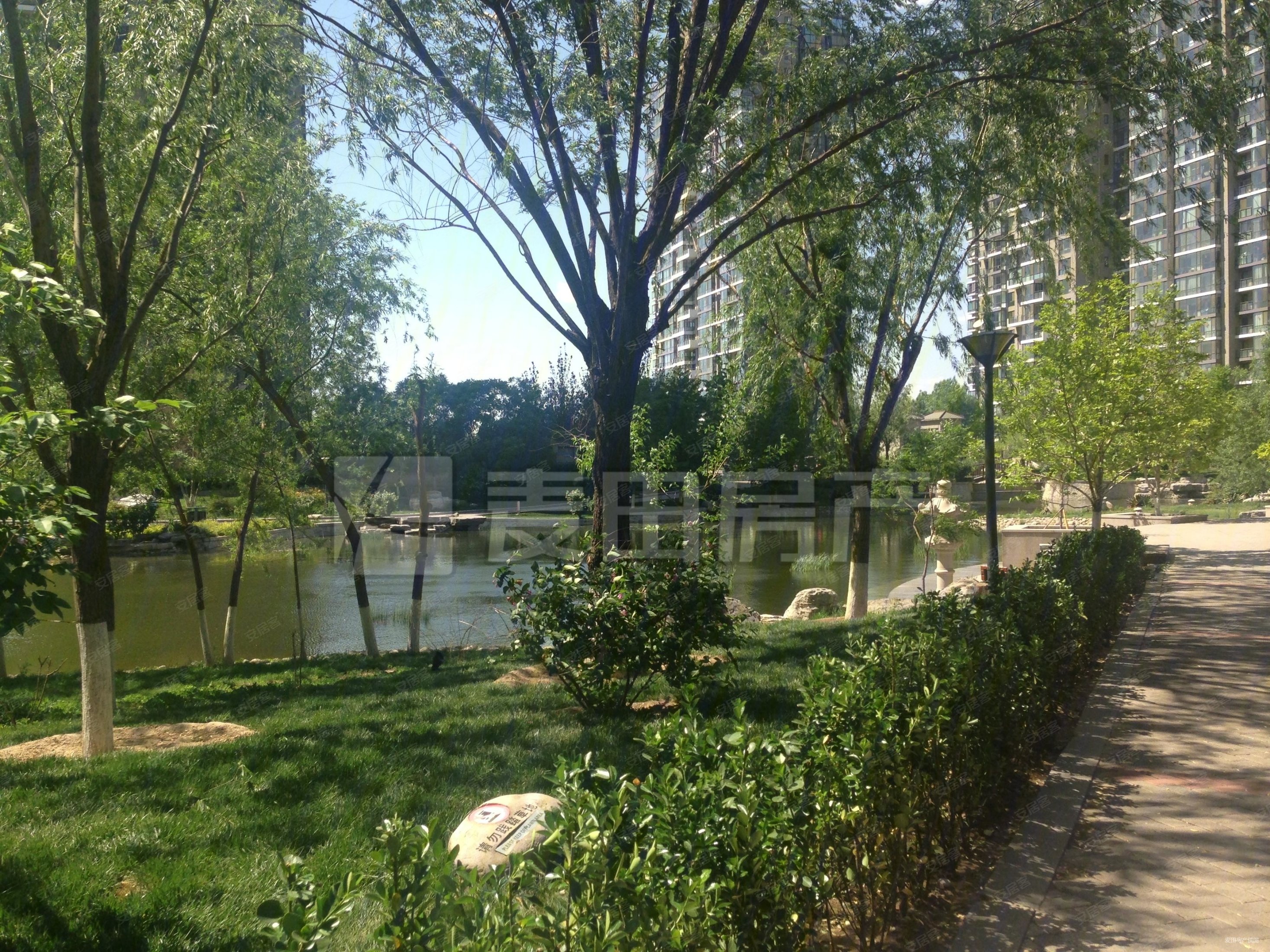 观湖国际5号楼三居 位置好 大面宽客厅 带冬夏阳台