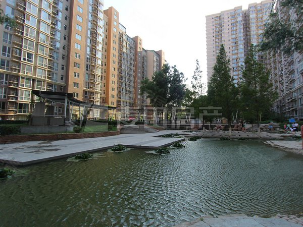 北京海淀公主坟颐源居南北通透 4室2厅  颐源居出租房源真实图片