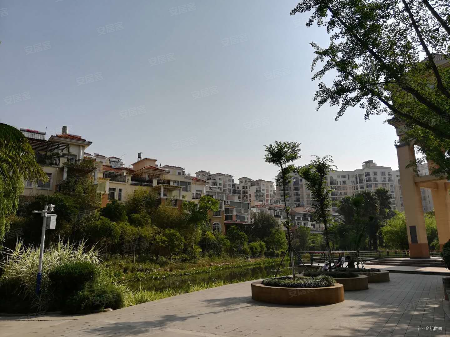 降价急卖官南大道假日湾对面玫瑰湾小区电梯精装3房随时看