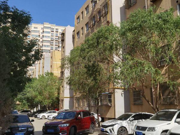 喀什喀什市喀什城区喀什花园b区喀什花园b区一楼,85平,两室两厅 拎包