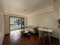 温岭温岭市区锦江中心转租 宝龙附近 金润华庭 独门独户 一室一厅 2200实价出租房源真实图片