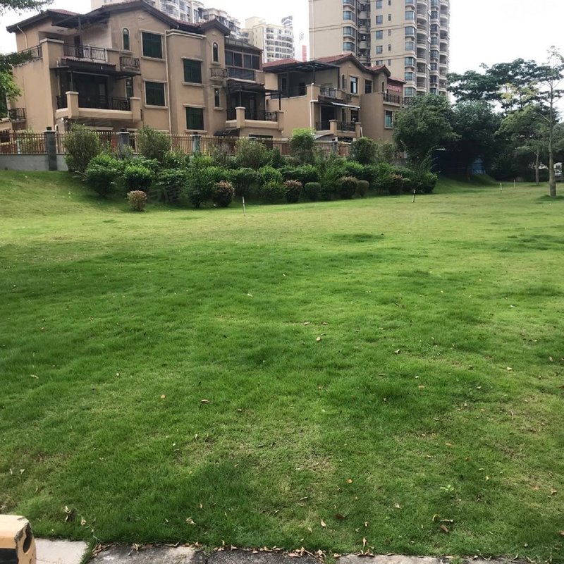 【五华碧桂园, 五华碧桂园小区详情,房价走势,房源,业主论坛】- 梅州