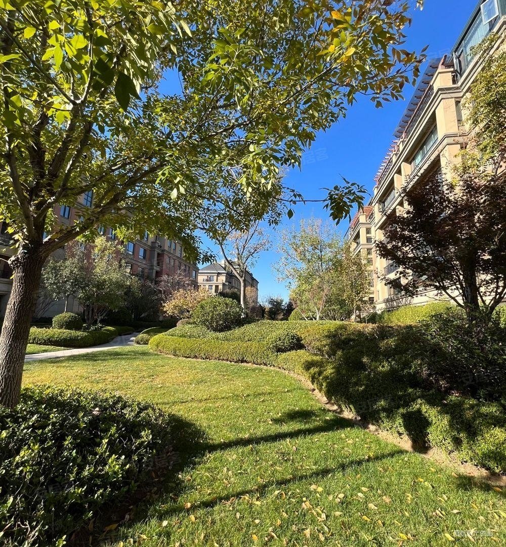 歌尔绿城桂花园