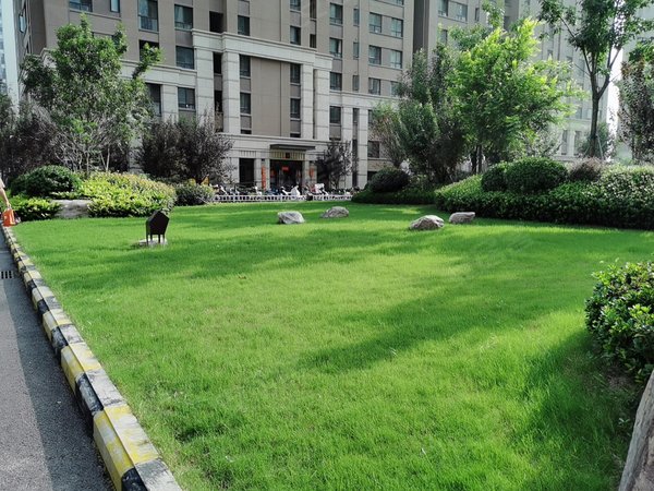 郑州高新区科学大道朗悦西都汇郑大 公园茂 企业公园 临地铁 独户标间