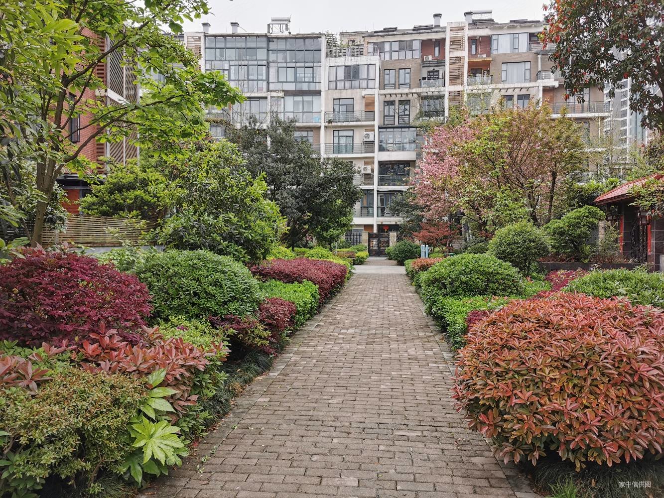 中天花园御翠岭4室2厅2卫148㎡南北130万