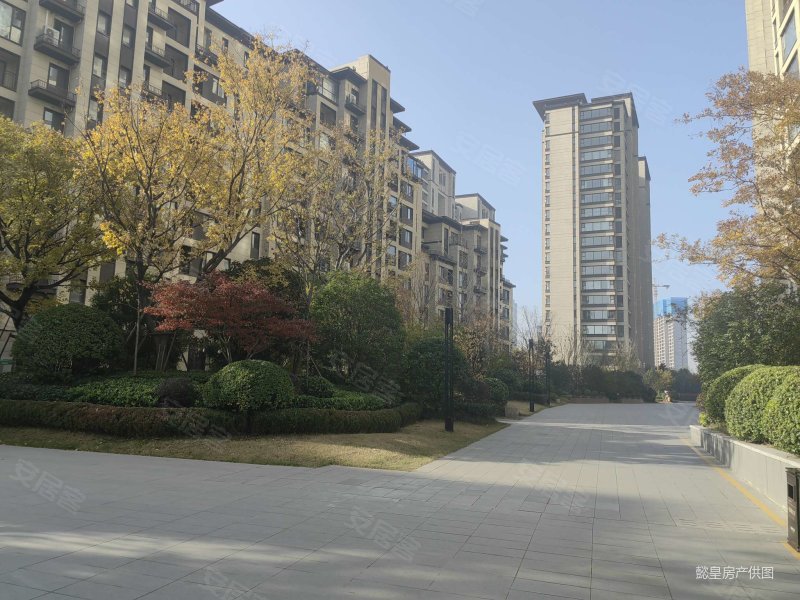 伊滨区cbd 房东急哭了降价30万 绿都洛阳府边户 好采光