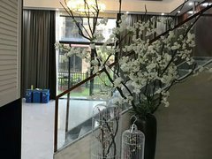 惠州惠阳经济开发区经济开发区 5室2厅3卫出租房源真实图片
