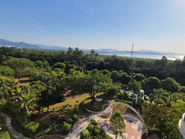 深圳福田上沙金海湾花园金海湾花园大三房安静看园林看海景,品牌物业