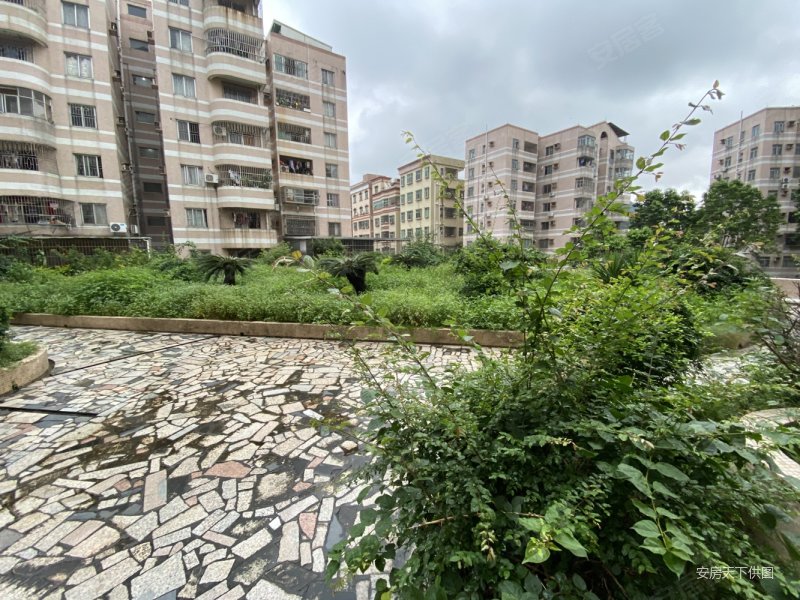 东莞房产网>东莞二手房>樟木头二手房>樟木头中心区二手房>帝都花园