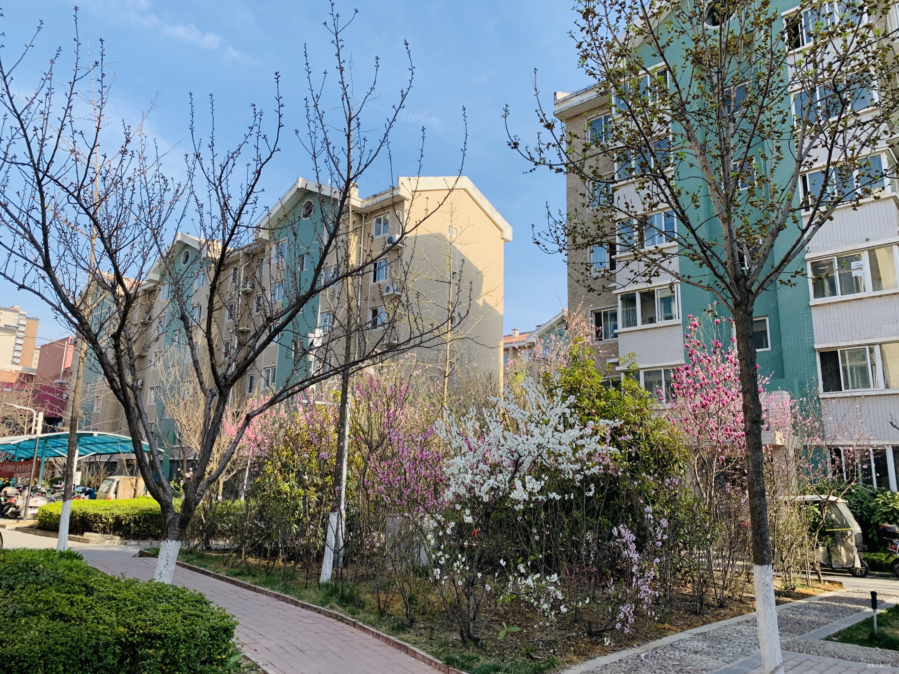 长庆湖滨花园(一区) 小三居 临地铁 商品住宅 低楼层