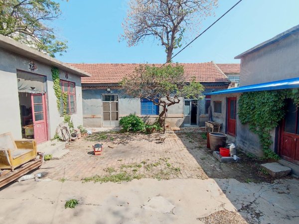 潍坊青州青州城区朝阳小区(青州)仅900近衡王府花园,朝阳平房带院,一