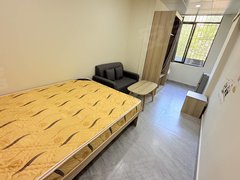 深圳龙岗南联龙城广场地铁站 宝龙小区电梯单间 采光好 民水电 拎包入住出租房源真实图片