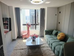 湘潭湘潭县易俗河易俗河碧桂园天玺精装修2室好房不等人!出租房源真实图片