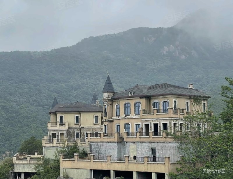 天麓(三区别墅)6室3厅4卫300㎡南北1360万