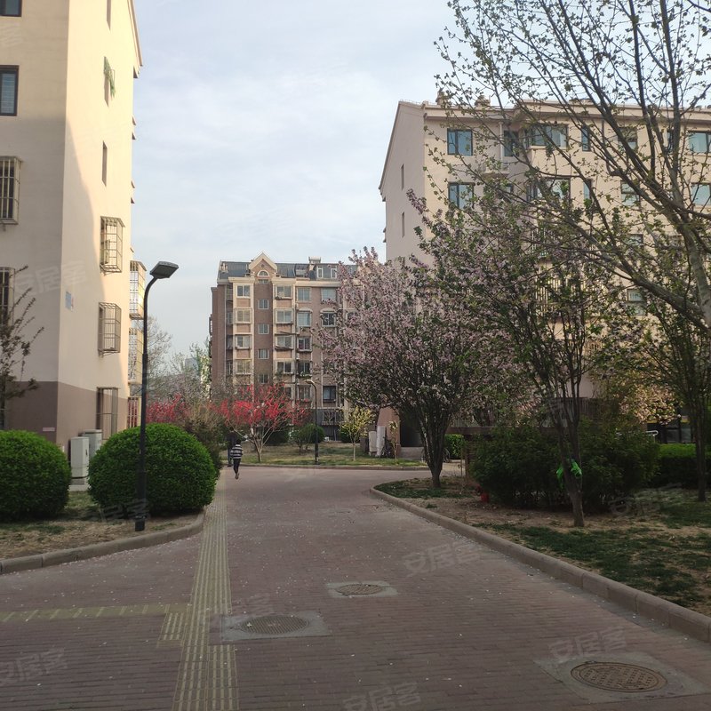 林枫馨苑内中环之间