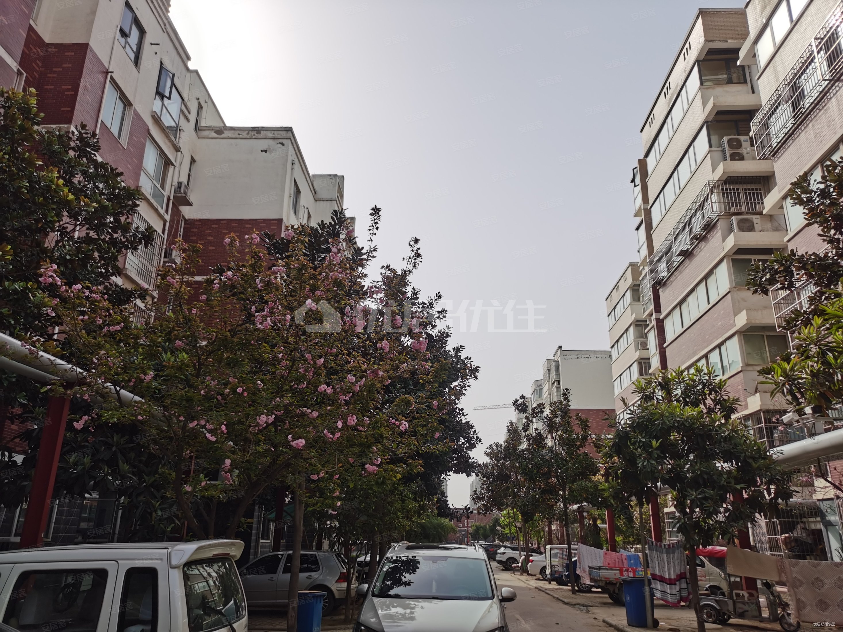 郑州二手房 中牟二手房 中牟城区二手房 蓝爵世家