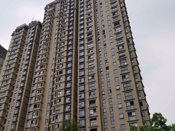 上海普陀光新香溢花城网红品质小区 精装朝南大一房 看房随时 密码锁