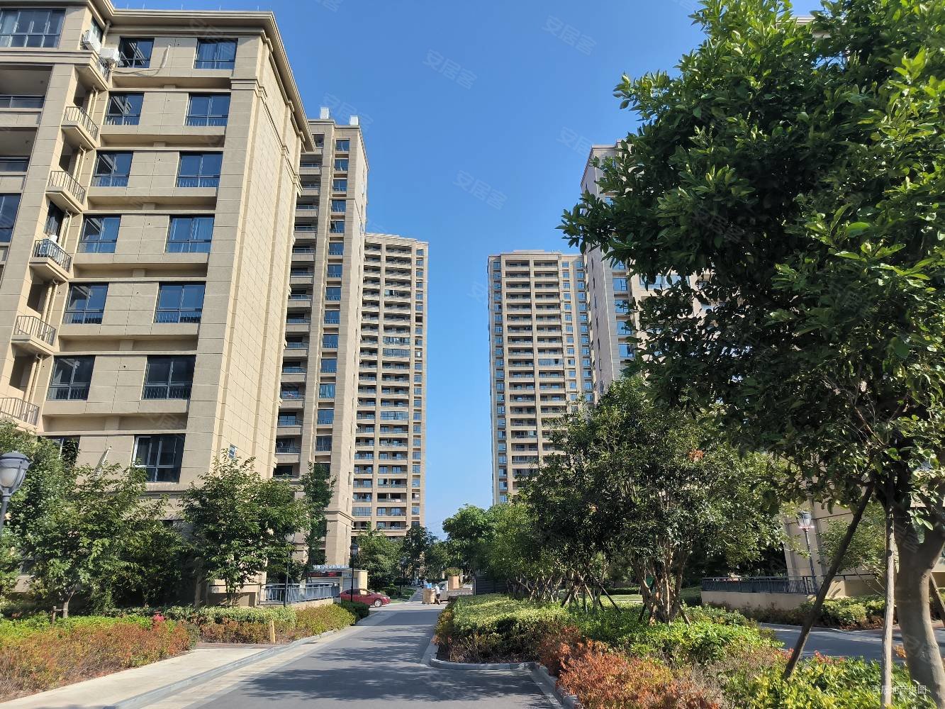 卡森卫星城红杉园3室2厅2卫102㎡南北93万