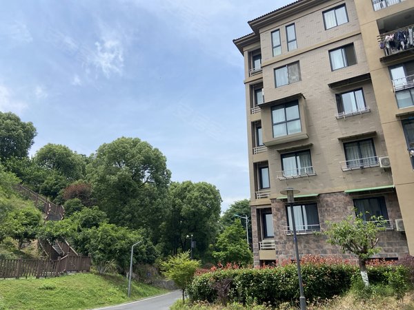 【多图】梓树花苑(公寓住宅),银湖租房,实图直租无中介 银湖站动物园