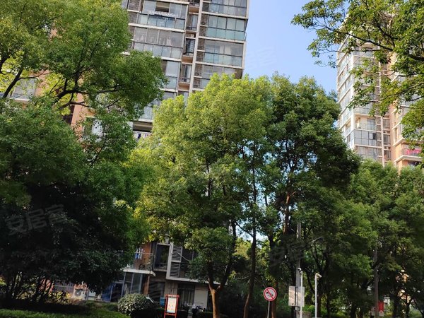 苏州工业园湖东青年公社湖东 青年公社精装修两室两厅 家电齐全随时