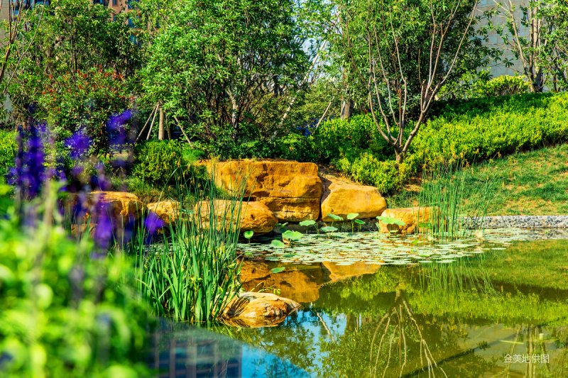 星河湾畅园三居室大面宽板楼有电梯车位充足商业配套成熟