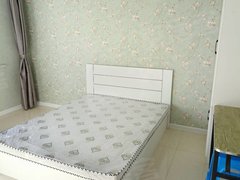 通辽科尔沁万达广场万达沁府北村和新居南卧实体墙单间出租，临近好望角庄园，翠堤东出租房源真实图片