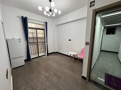 广州天河天平架天平架 电梯公寓精装一房一厅 可做直播出租房源真实图片