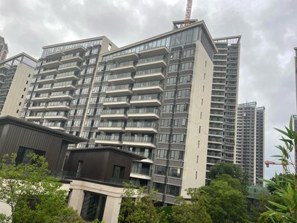 龙光天宸,玉洞大道30号 - 南宁龙光天宸二手房,租房,房价-南宁安居客