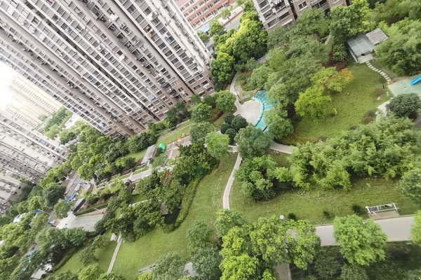 城林美苑(东区)