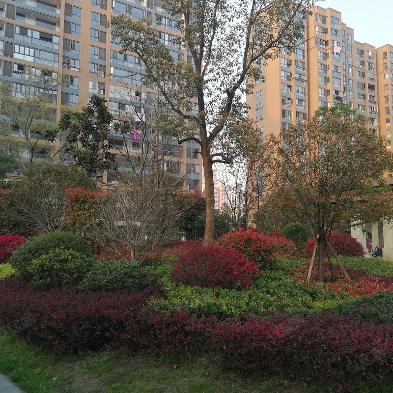 【湖滨翡翠城, 湖滨翡翠城小区详情,房价走势,房源,业主论坛】- 九江