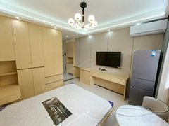 阿克苏阿克苏市阿克苏城区左岸明珠单身公寓 家电具齐全 密码门 精装修  可月租出租房源真实图片