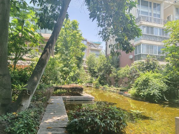 福州闽侯上街金桥花园玫瑰苑金桥花园 简单装修2房 1楼带草地 可养花