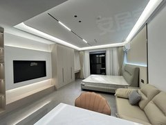 镇江丹阳东方皮革城无中介 大泊农贸市场 嘉荟新城旁电梯公寓 现代简约风 可月付出租房源真实图片