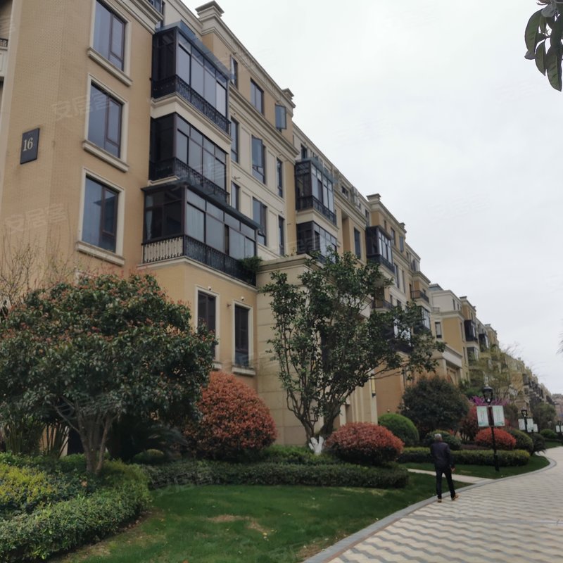 【滨江月亮湾, 滨江月亮湾小区详情,房价走势,房源,业主论坛】- 衢州