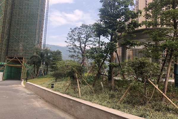 不足,中源誉峰怎么样,中源誉峰周边房产中介经纪人评价-肇庆安居客