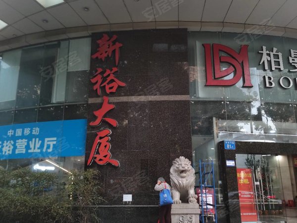 【多图】新裕大厦,农林下路租房,新裕大厦 1室 豪华装修 电梯房 45平