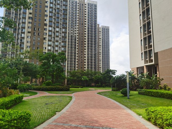 【多图】东江逸珑湾,新塘租房,东江逸珑湾 3室2厅2卫 电梯房 116平米