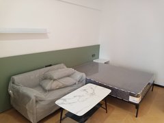深圳龙岗横岗精装修 品牌公寓 拎包入住 车位先到先得 押一付一出租房源真实图片