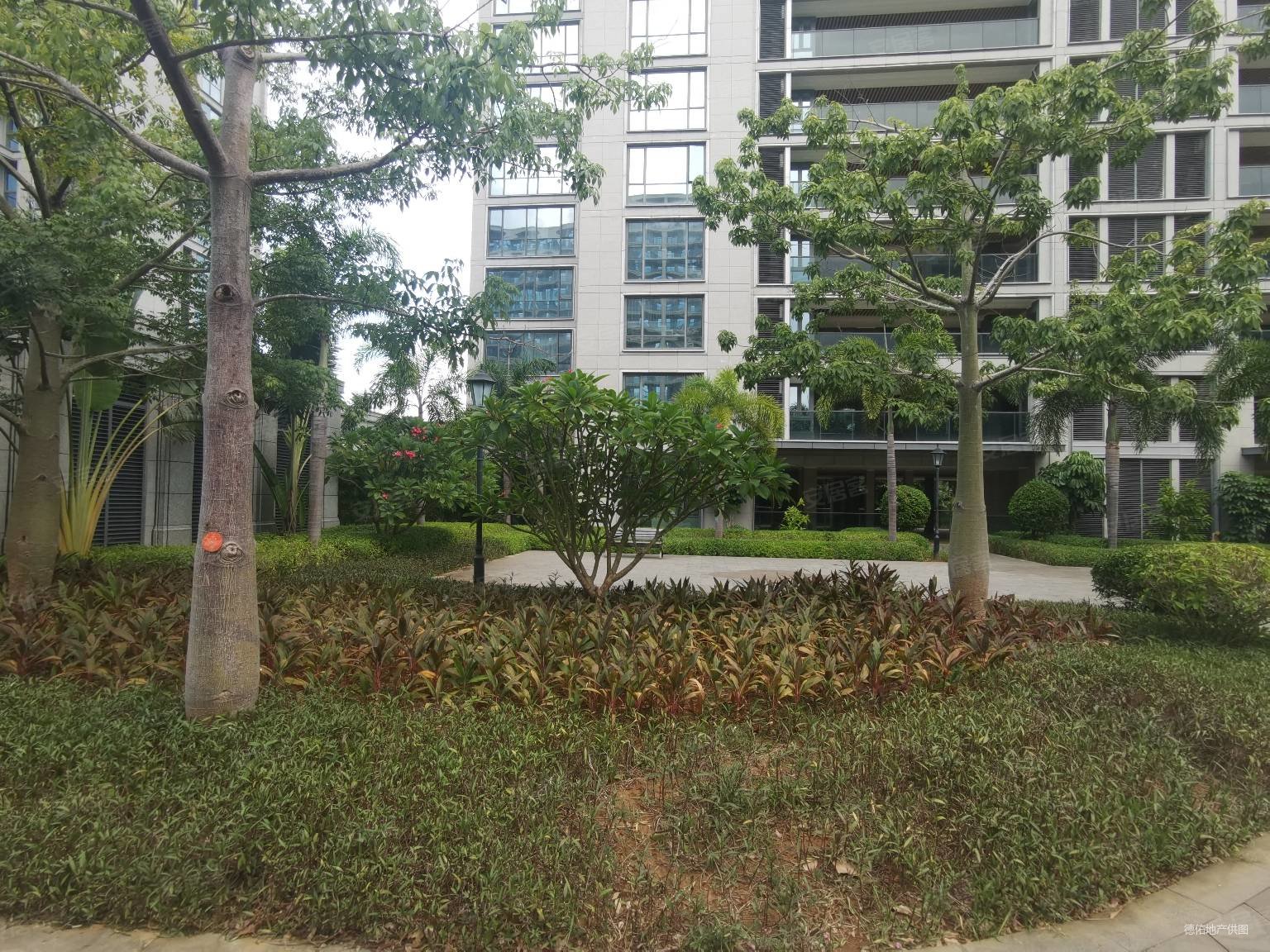 绿城蓝湾小镇海棠苑