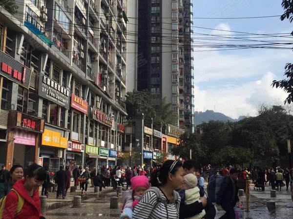 【多图】东海长洲b区,弹子石租房,东海长洲b区 2室2厅2卫,南岸租房