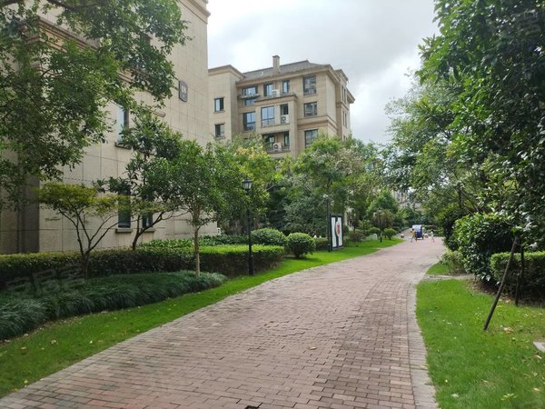 绍兴上虞大通锦江玫瑰园上虞城西 临近地铁 电梯洋房 锦江玫瑰园 精装