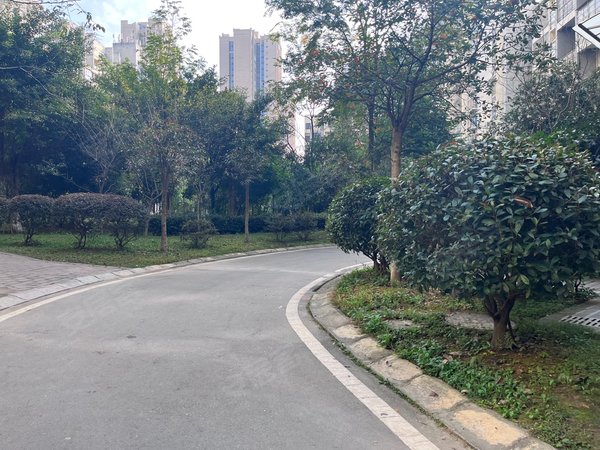 重庆潼南潼南城区公园世家凉风垭公园世家,金海洋市场附近,精装小三房