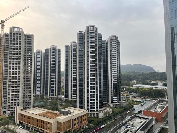 广州南沙黄阁时代天逸配齐家私家电租2500!