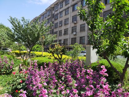 临商银行西郊支行家属院,蒙山大道84号 - 临沂临商银行西郊支行家属院