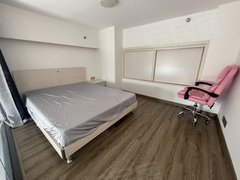 东莞莞城罗沙卓越中寰 1室1厅1卫出租房源真实图片