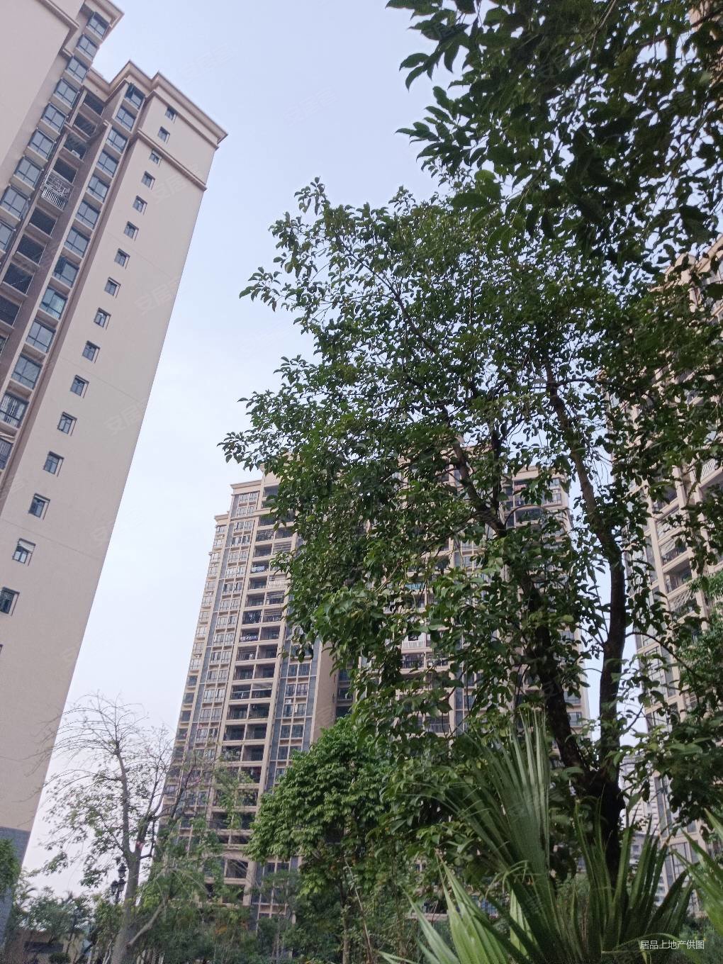 南湖花园中高层望江景3房2卫视野好采光充足